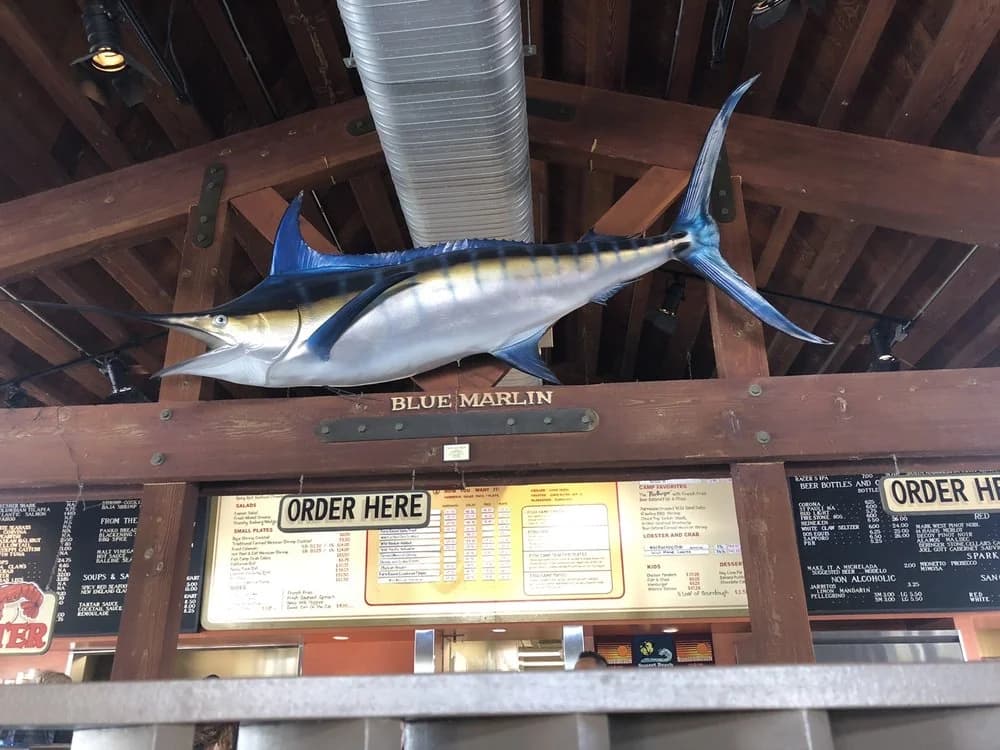 Fish Camp 30