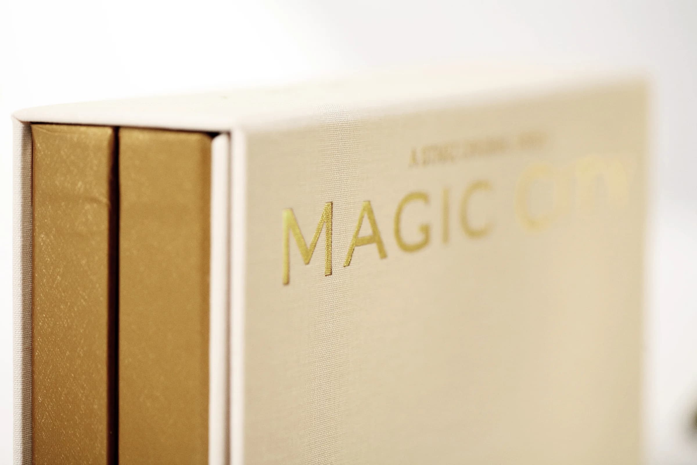 Magic City 8